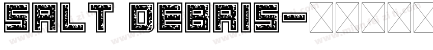 Salt Debris字体转换